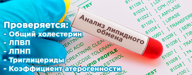  Анализ крови с показателями липидограммы