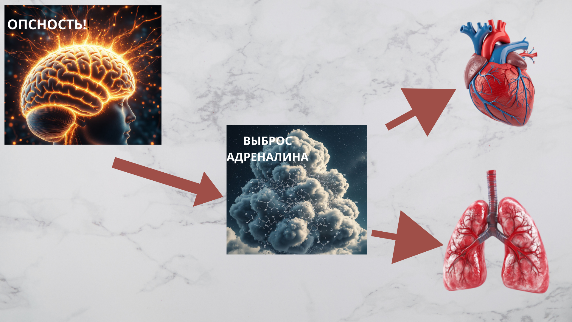 Мозг - вспышка- выброс адреналина- сердцебиение и удушье -страх